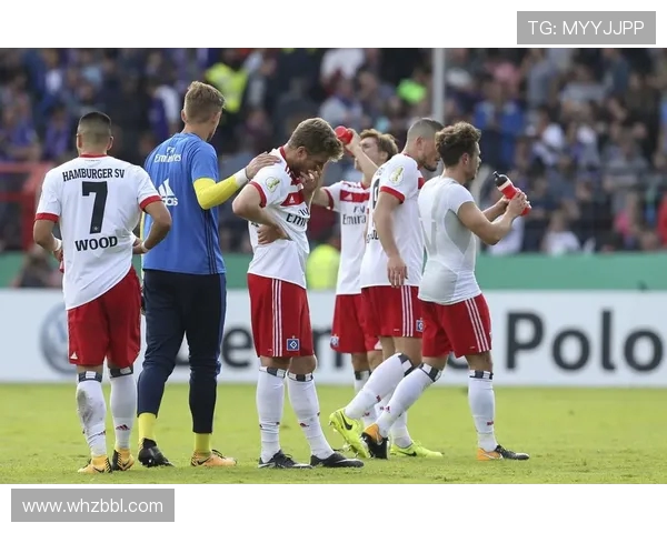 这些德甲球队你见过吗？精选球队视频合集